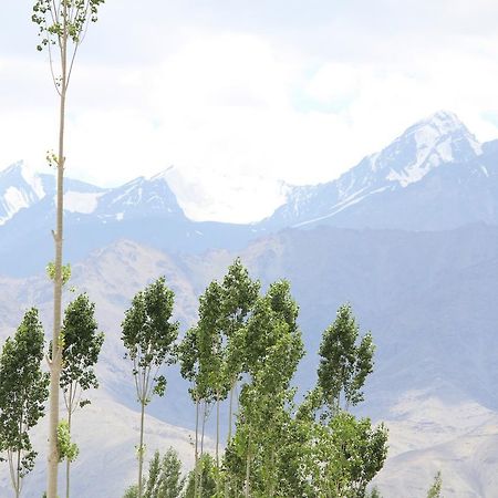 Hotel Kasdar Ladakh Лех Екстериор снимка