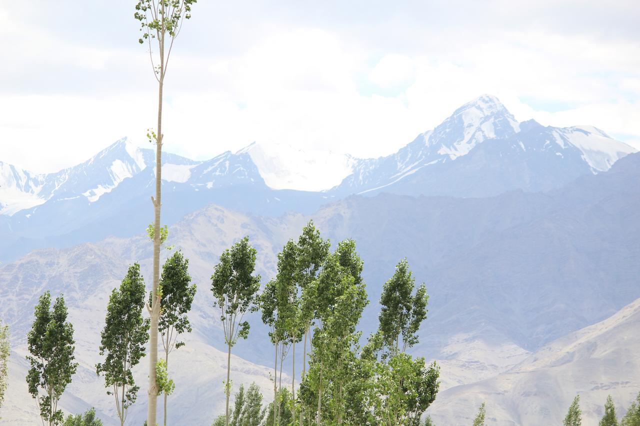 Hotel Kasdar Ladakh Лех Екстериор снимка